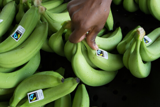 Bananes